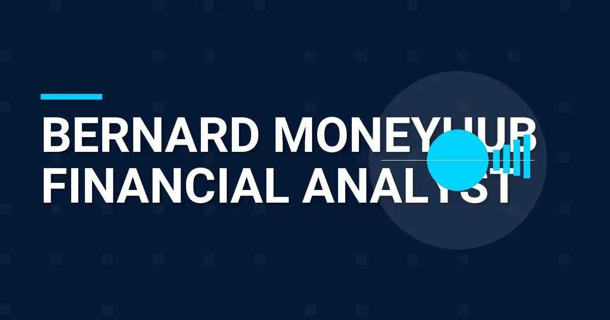 Bernard MoneyHub Financial Analyst